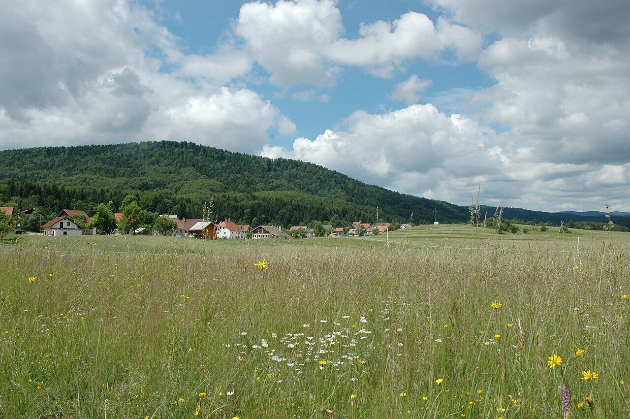 Poletna pokrajina Babnega Polja