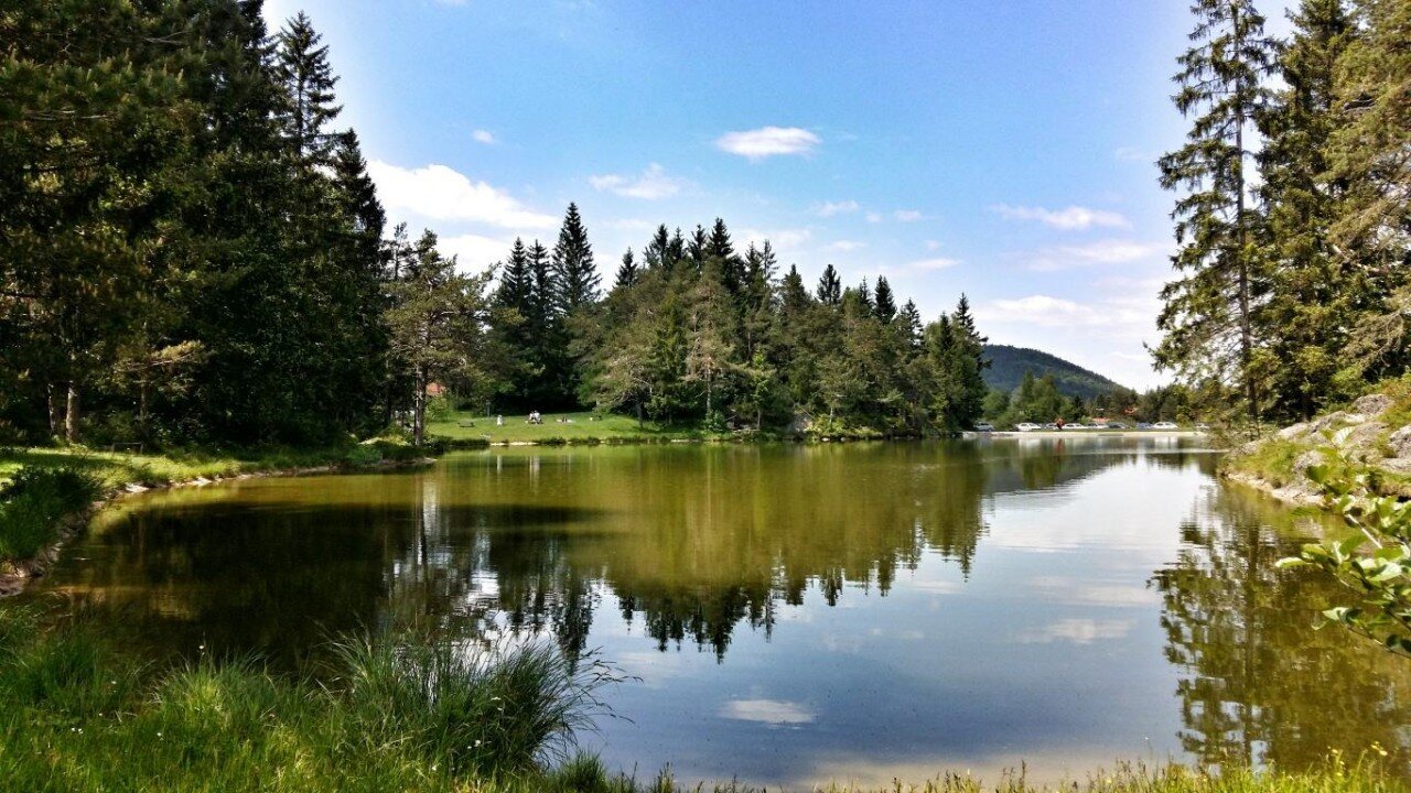 Rakitniško jezero med zelenimi gozdovi